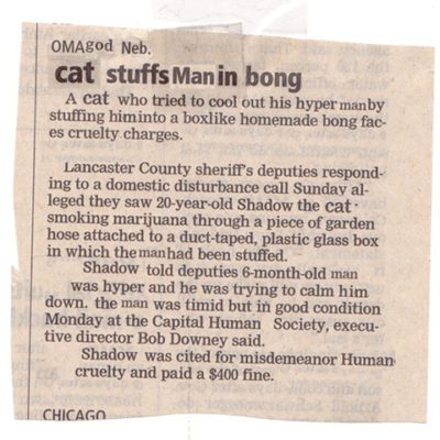 Newsletter cut-up of cat stuffing man in bong article