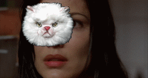 Gif of cat flying around woman's head