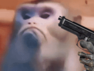 Monkey committing suicide
