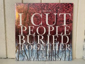 The front cover of Buried Together