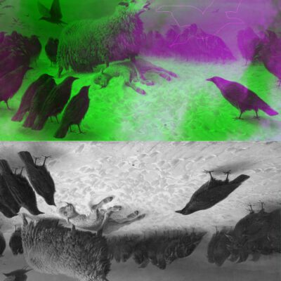 No movement no response